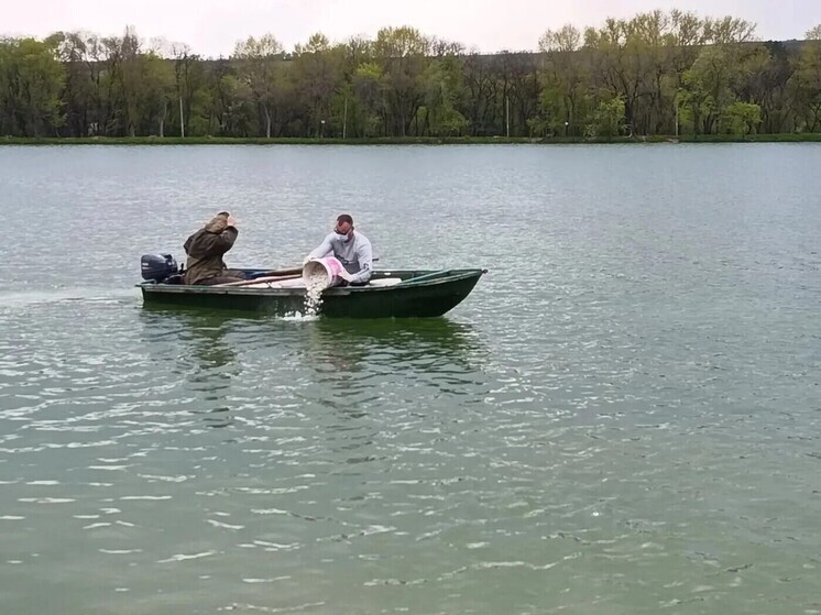 На ессентукском озере провели известкование воды