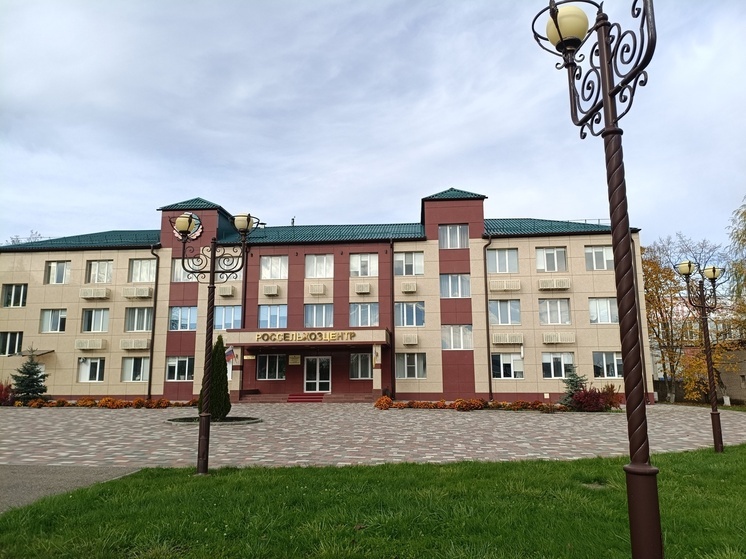 На Ставрополье обследовано 78 тысяч га в рамках мониторинга саранчовых вредителей