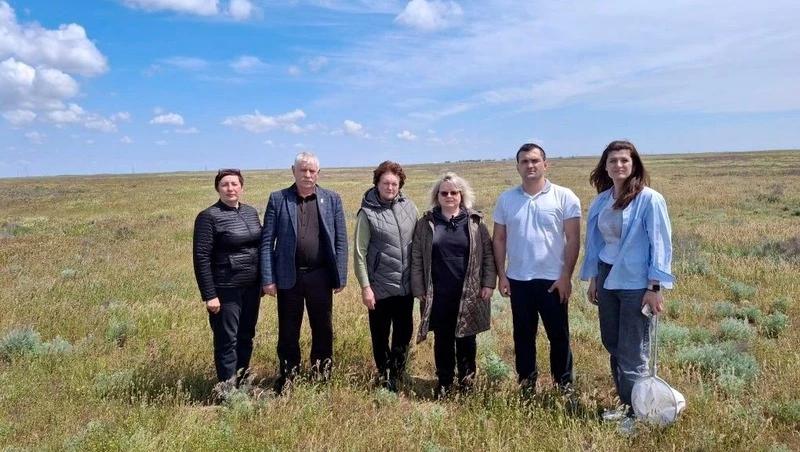 На востоке Ставрополья с запозданием проснулась мароккская саранча
