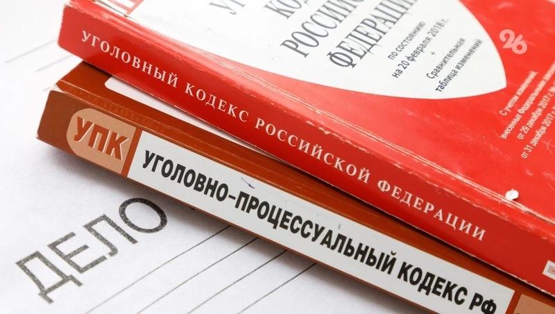На жительницу Светлограда завели дело за убийство котят