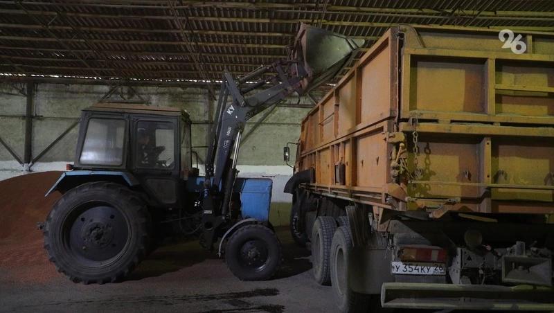 Ставропольские аграрии посеяли около 70 тыс. га масленичного льна