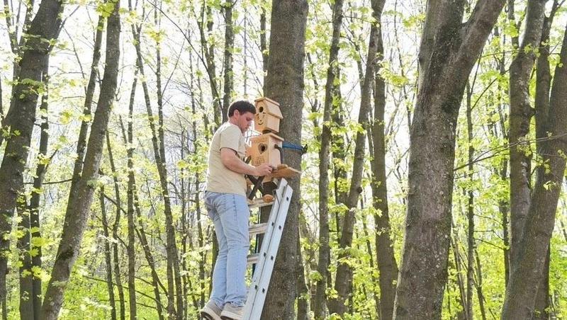 Участники конкурса повесили в парке Кисловодска самодельные скворечники