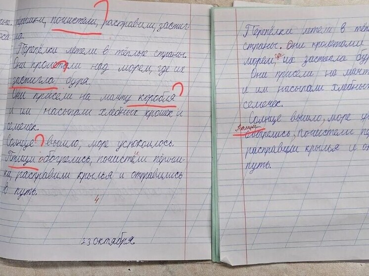 Учительница из Предгорья, на которую родители пожаловались Мизулиной, уволилась