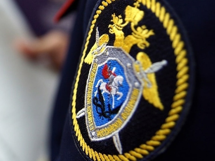 В Михайловске следователи нашли 16-летнюю девушку, пропавшую 12 мая