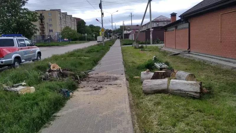 В посёлке Нежинском Предгорного округа ветер повалил дерево