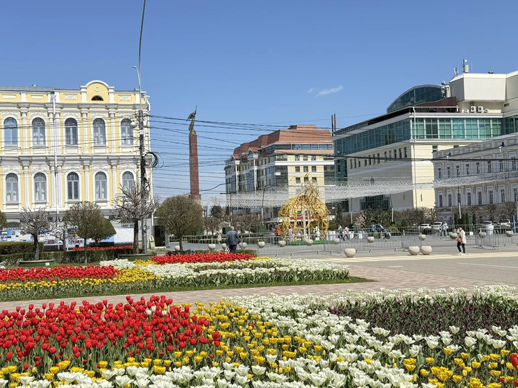 В Ставрополе молодёжь может бесплатно пользоваться коворкингами и творческими студиями