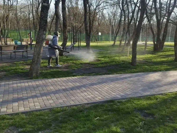 В Ставрополе от клещей обработали почти 700 тысяч квадратных метров городских территорий
