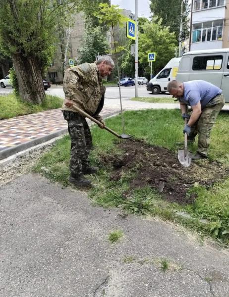 В Ставрополе в 2026 году высадят больше 6 тыс. деревьев